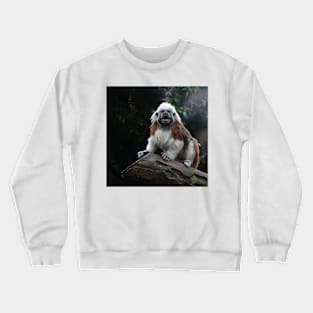 Cotton Top Tamarin Crewneck Sweatshirt